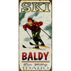 Woman Skiing Personalized Cabin or Chalet Sign